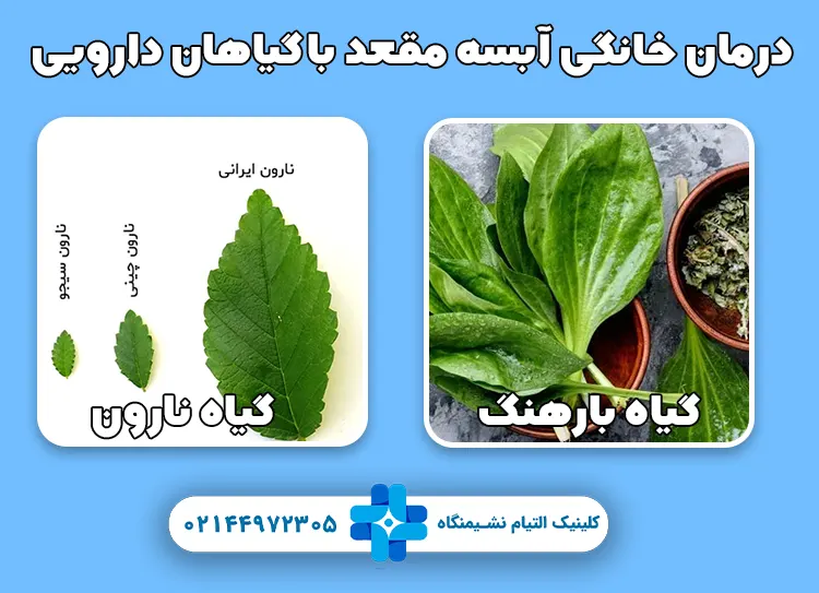 درمان خانگی آبسه مقعد با گیاهان دارویی