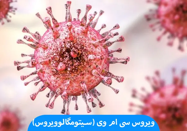 ویروس سی ام وی (سیتومگالوویروس)
