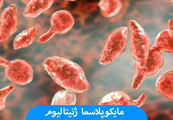 مایکوپلاسما ژنیتالیوم