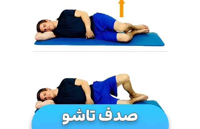 حرکت صدف تاشو