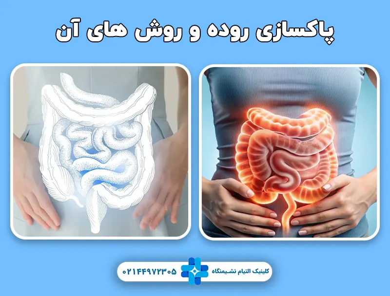 روش های پاکسازی روده