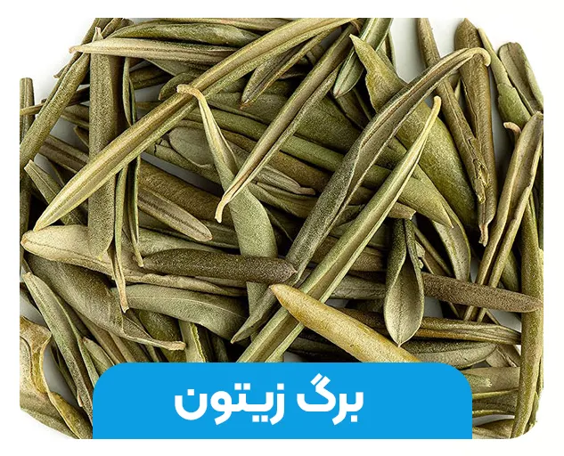 برگ زیتون