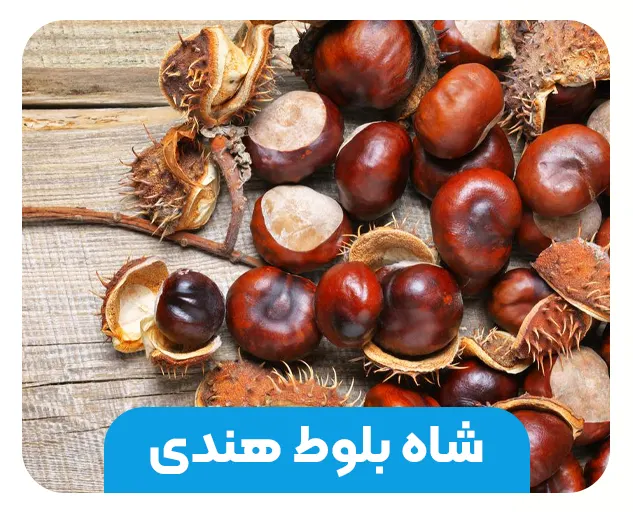 شاه ‌بلوط هندی