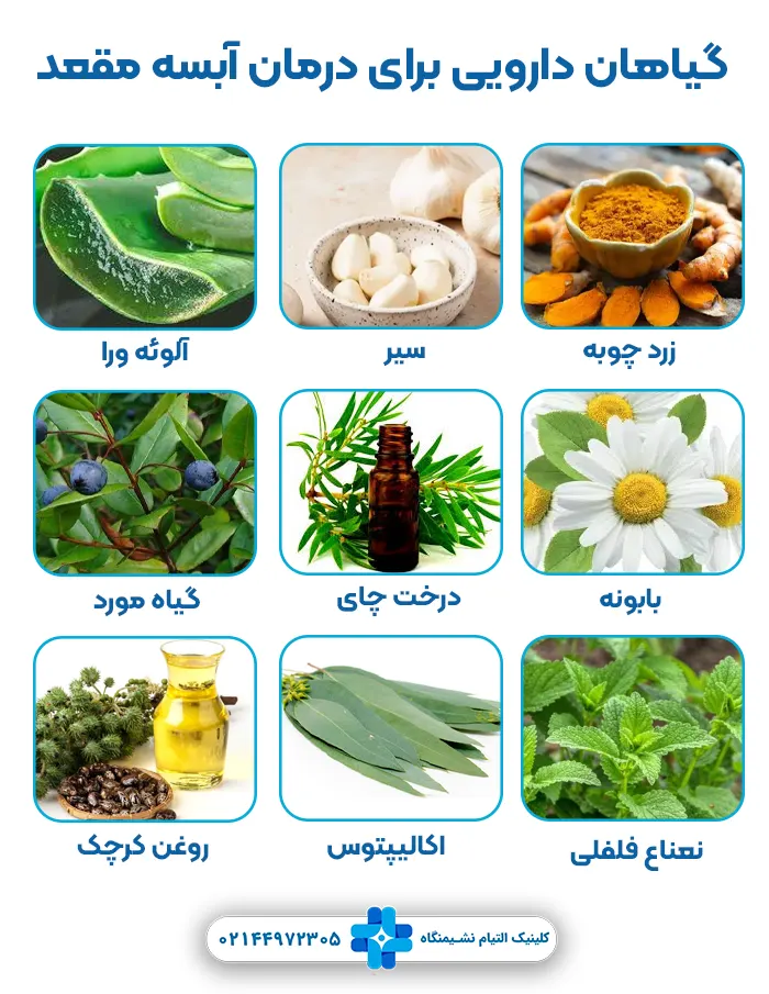 گیاهان دارویی برای درمان آبسه مقعد