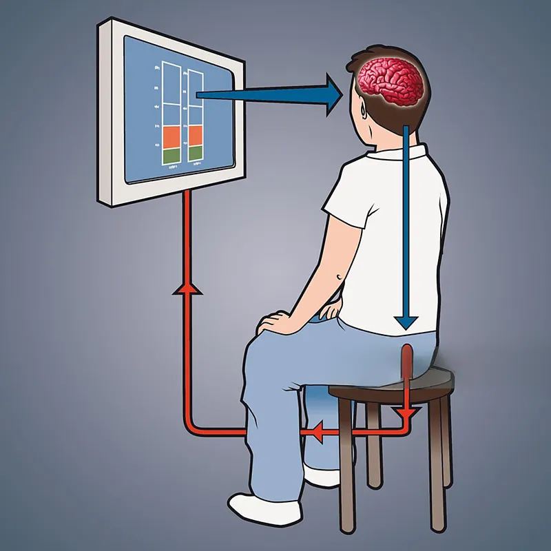 بایوفیدبک مقعد