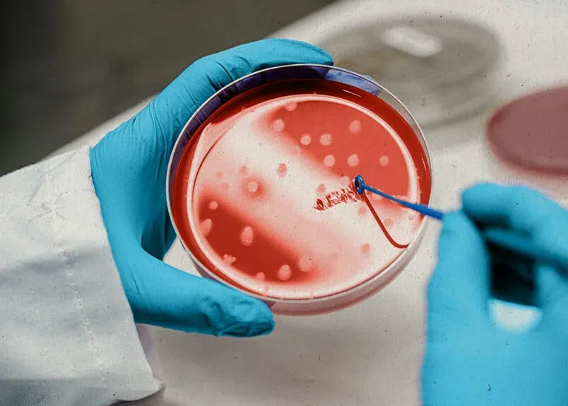 سلول بنیادی