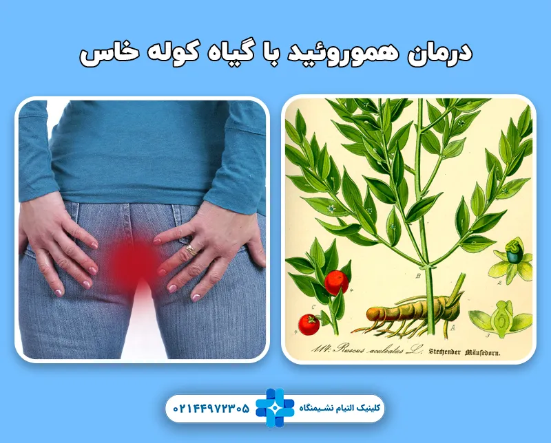 درمان هموروئید با گیاه کوله خاس